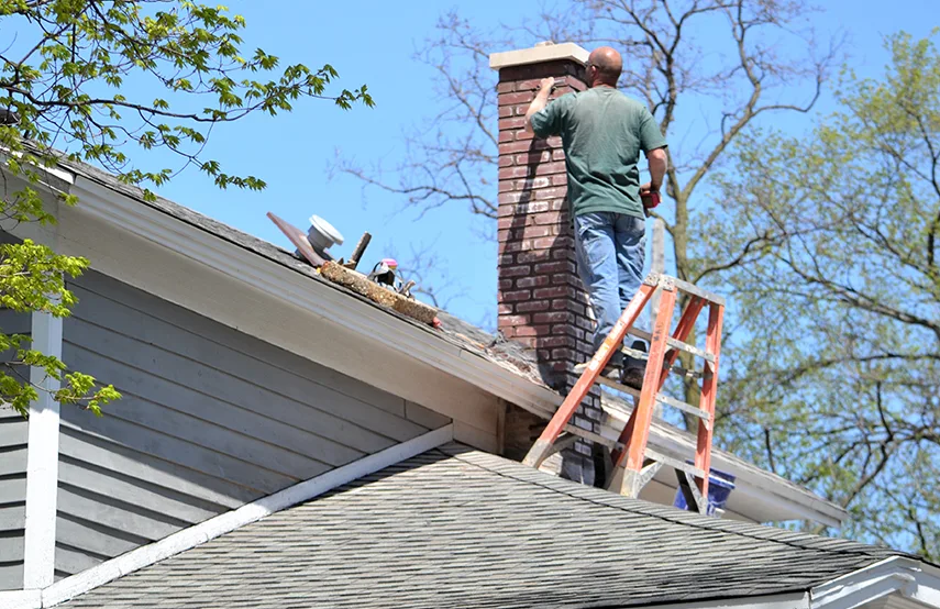 Chimney & Fireplace Inspections Services in Cornelius, NC